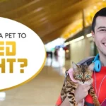 how to add pet on United Flight