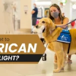 add pet to american airlines flight