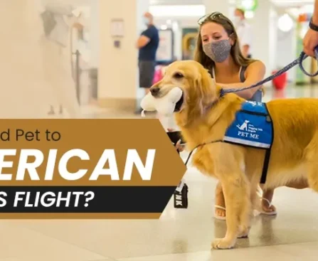 add pet to american airlines flight