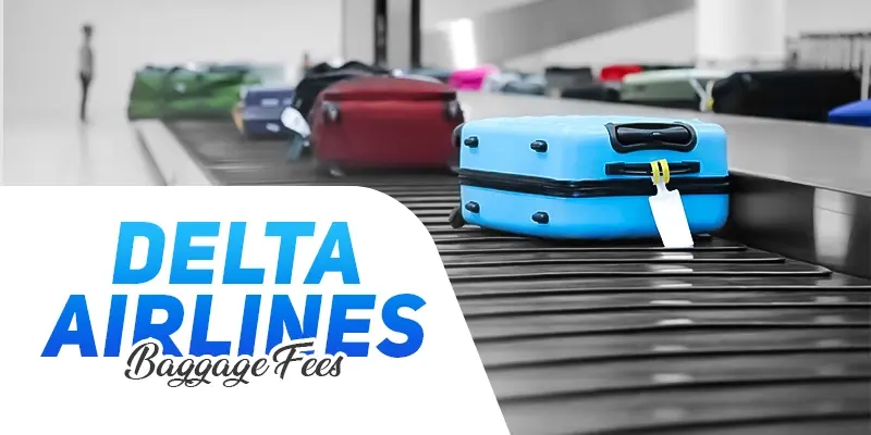 Delta Airlines Baggage Fees