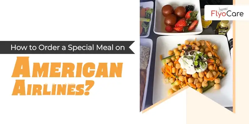 How to Order a Special Meal on American Airlines