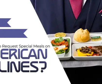 how to request a special meal on American Airlines