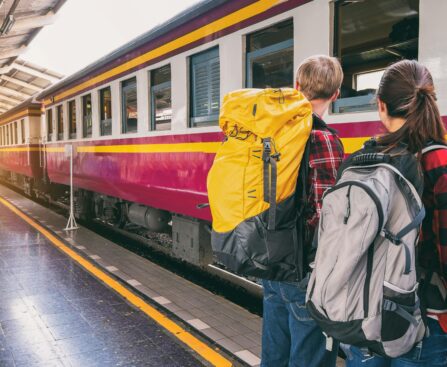 Best Project Management Certification Study Books for Travel